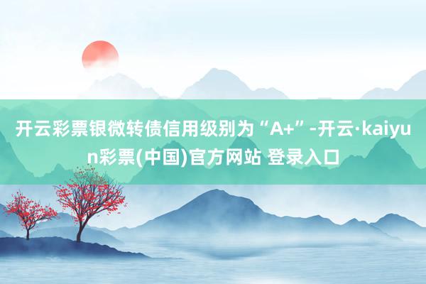 开云彩票银微转债信用级别为“A+”-开云·kaiyun彩票(中国)官方网站 登录入口